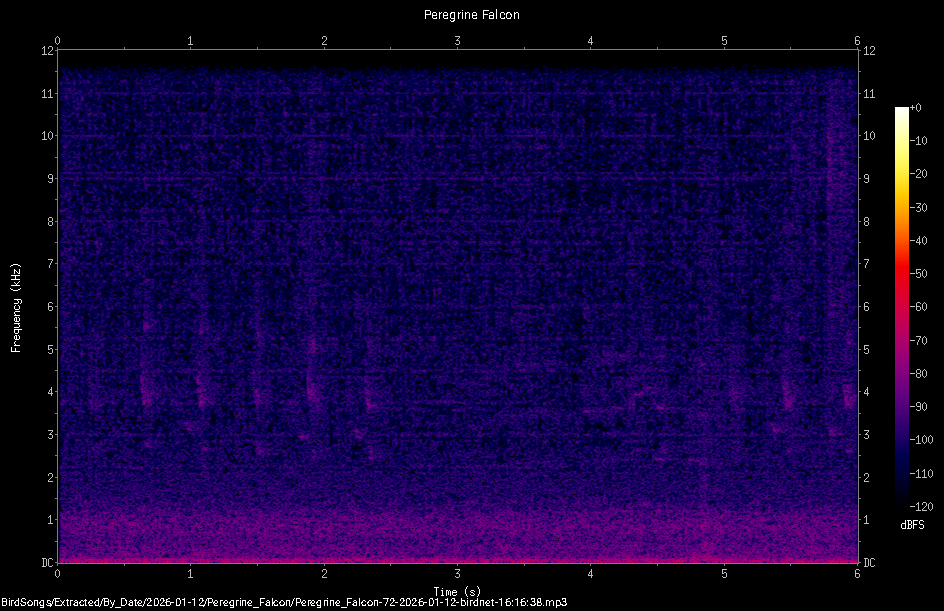 Spectrogram