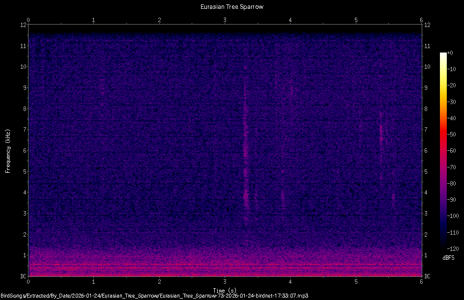 Spectrogram