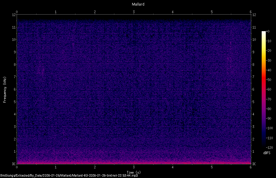 Spectrogram