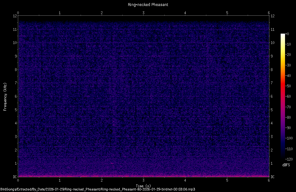 Spectrogram