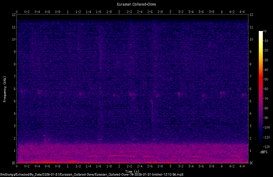 Spectrogram
