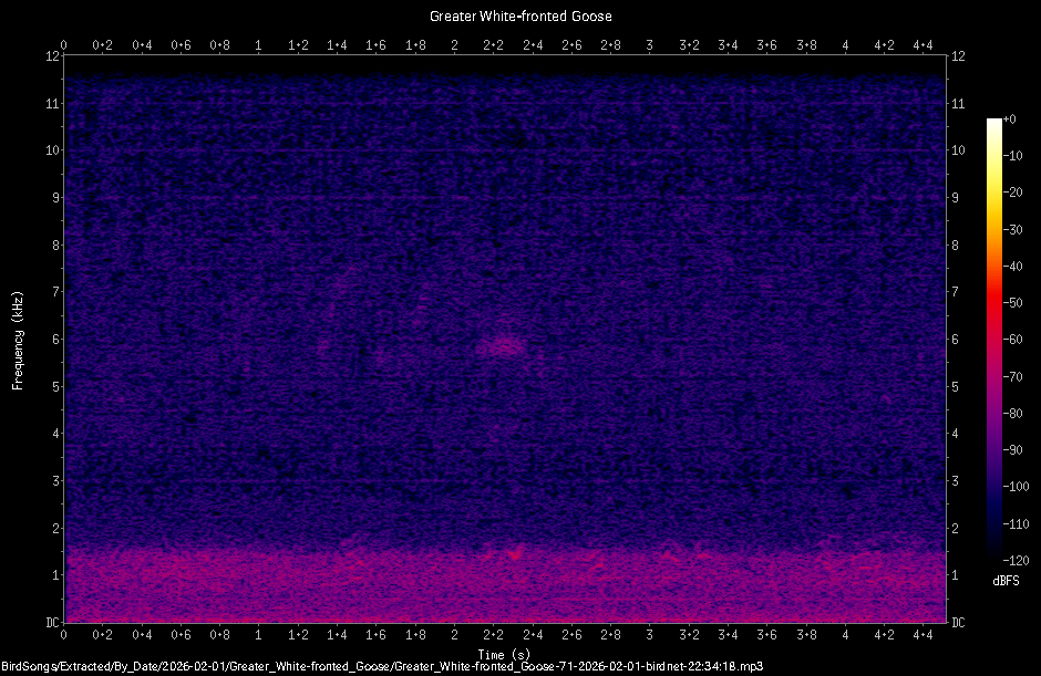 Spectrogram