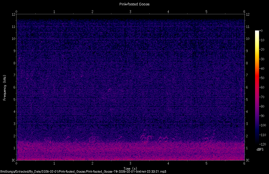 Spectrogram