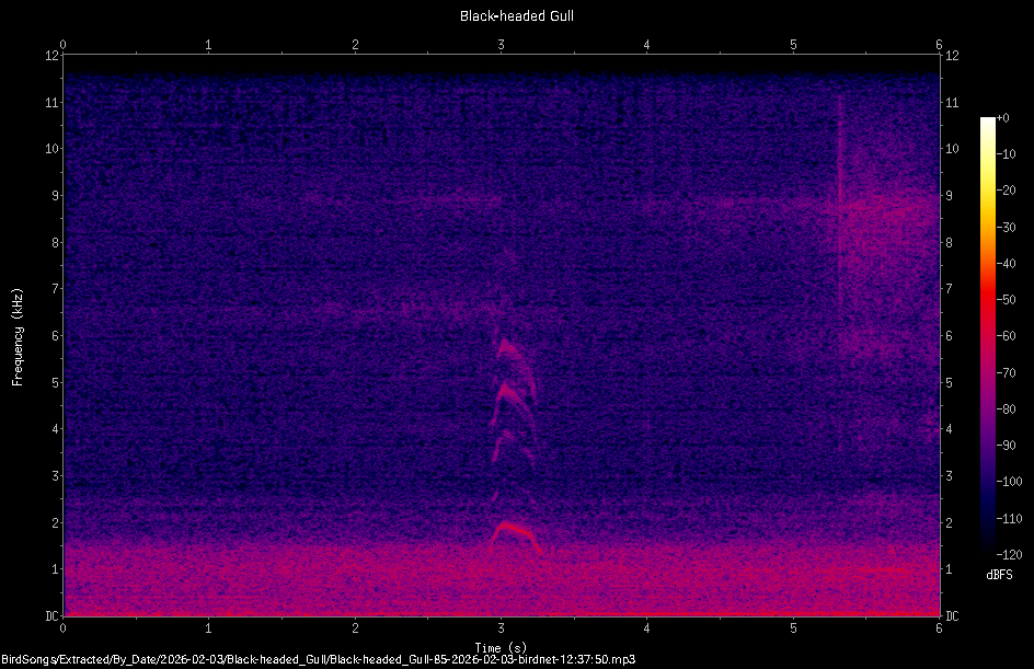 Spectrogram