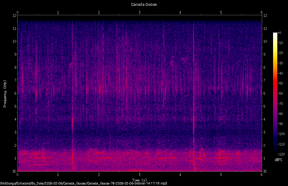 Spectrogram