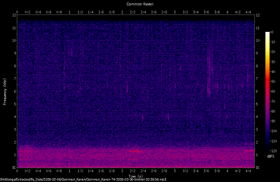 Spectrogram
