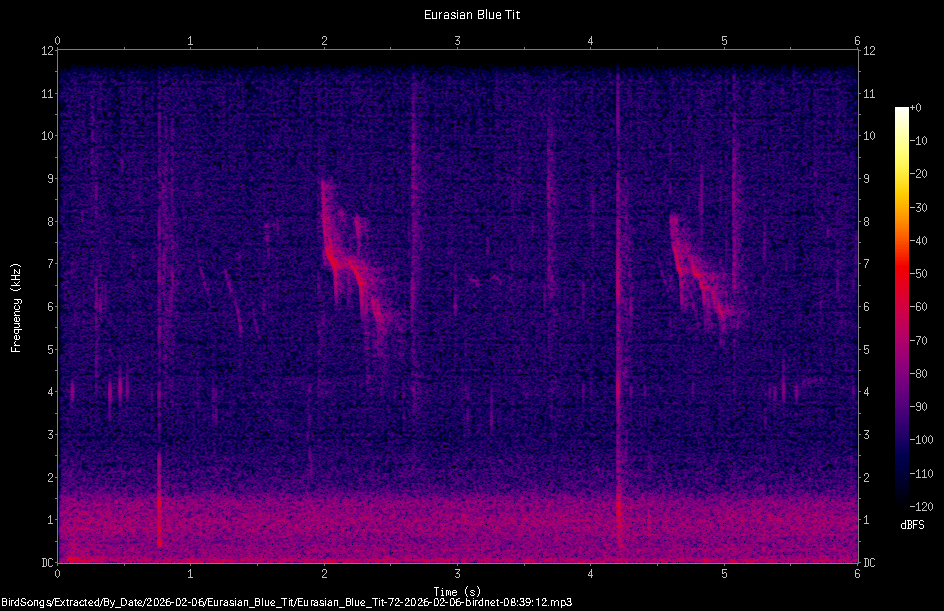 Spectrogram