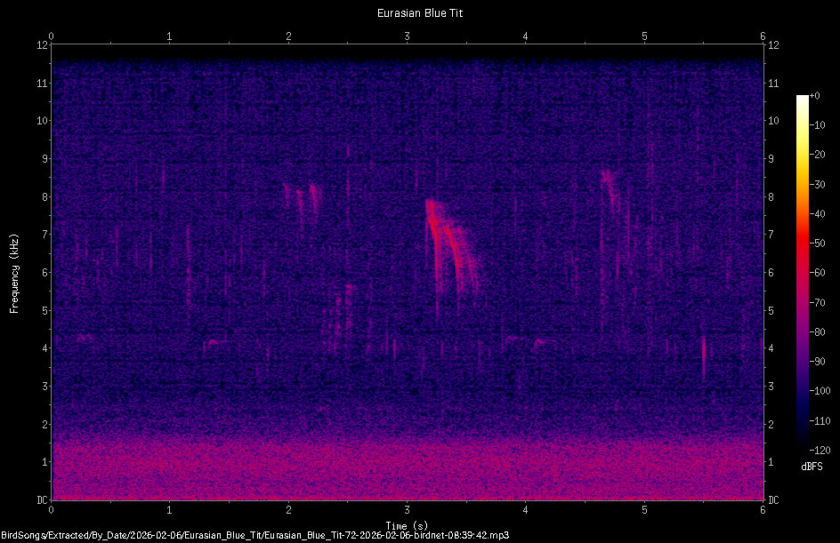 Spectrogram