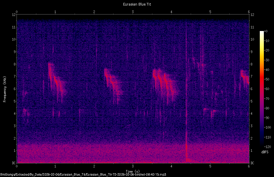 Spectrogram