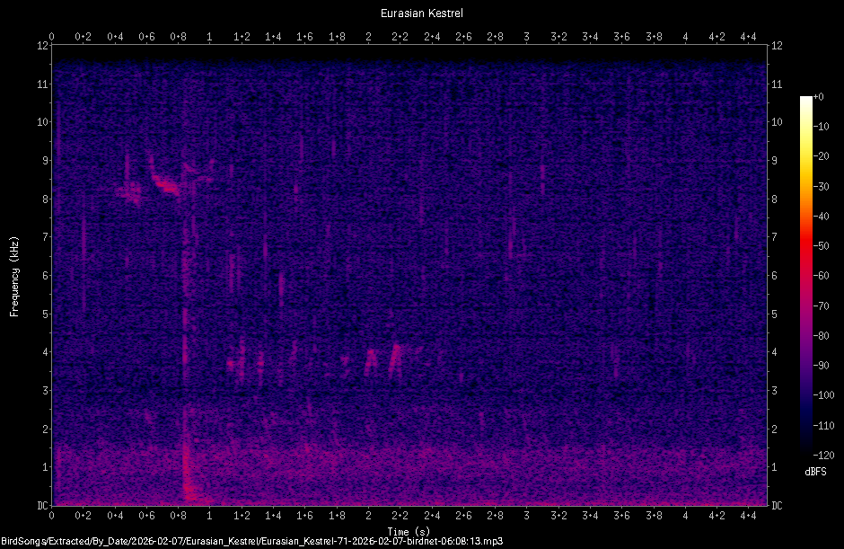 Spectrogram
