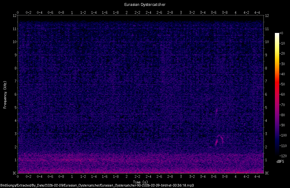 Spectrogram
