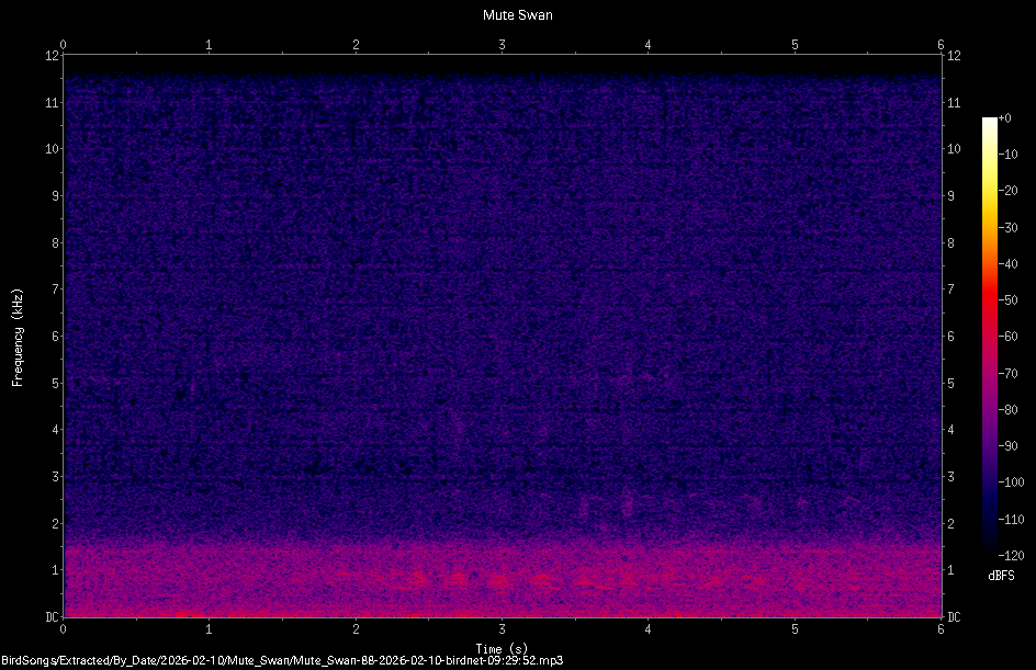 Spectrogram