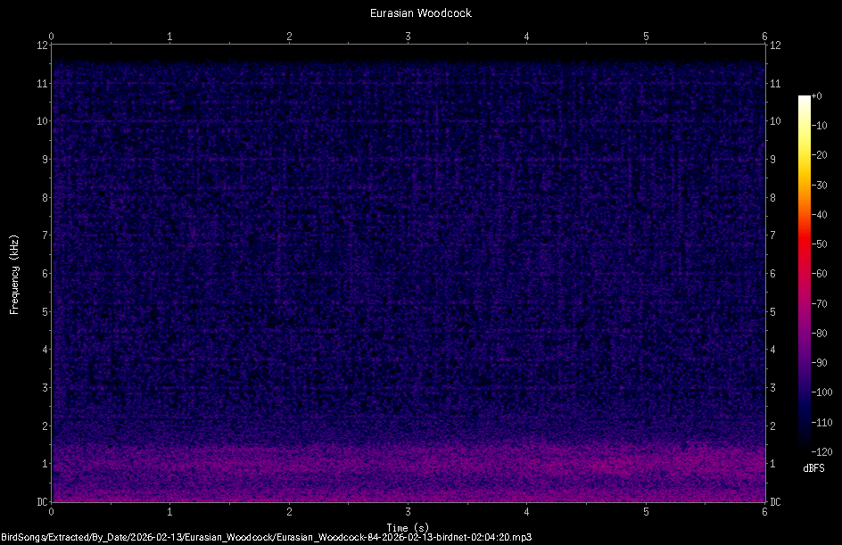 Spectrogram