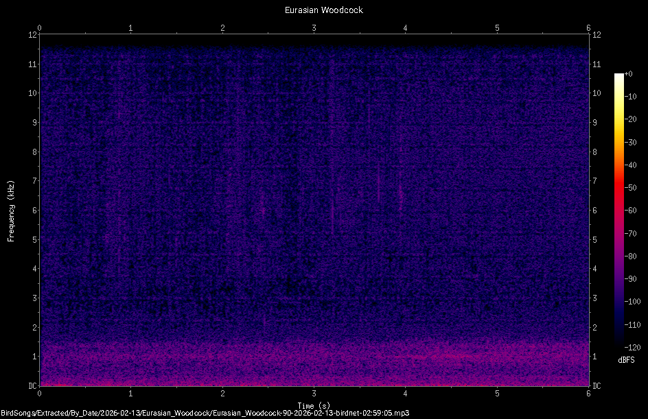 Spectrogram