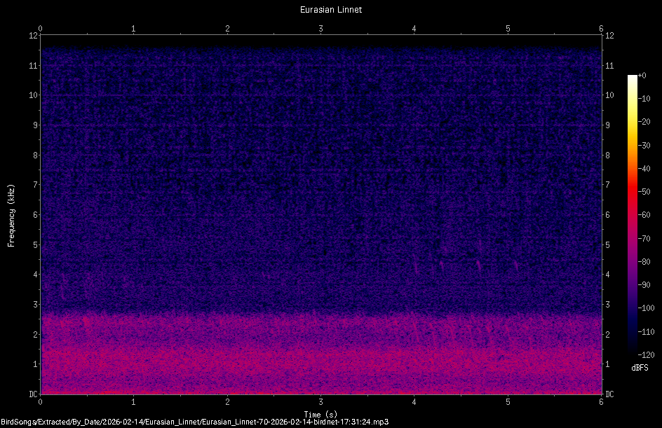 Spectrogram