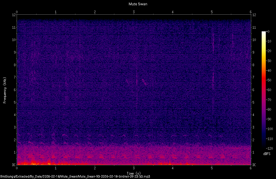Spectrogram