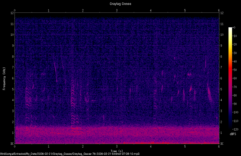 Spectrogram