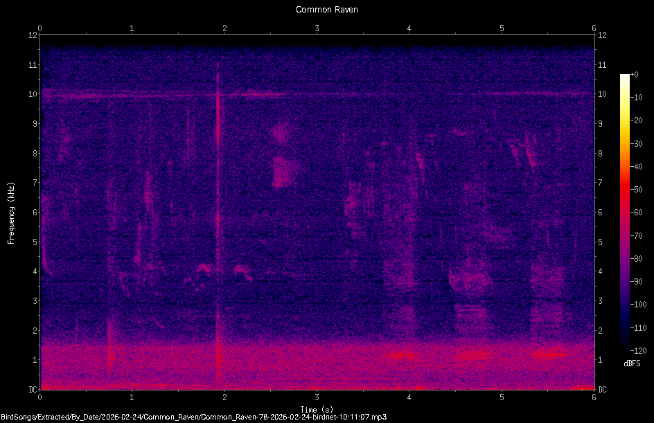 Spectrogram