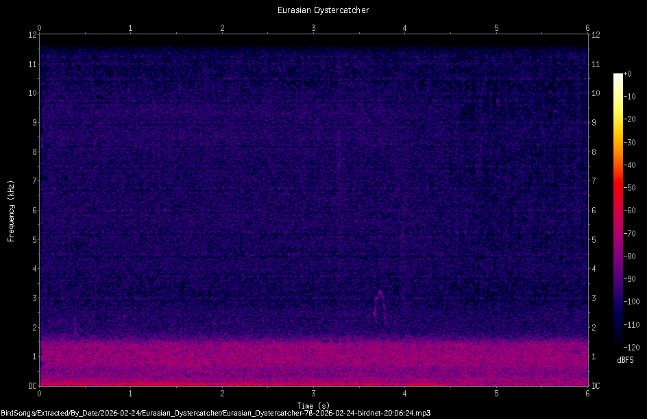 Spectrogram