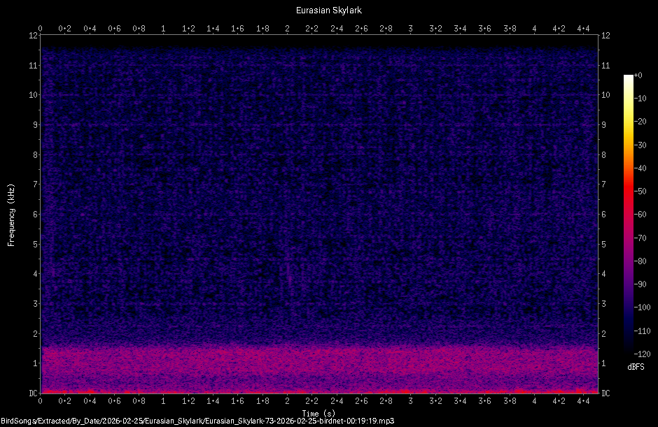 Spectrogram