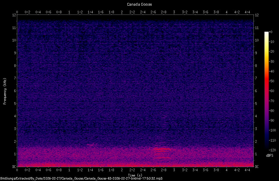 Spectrogram