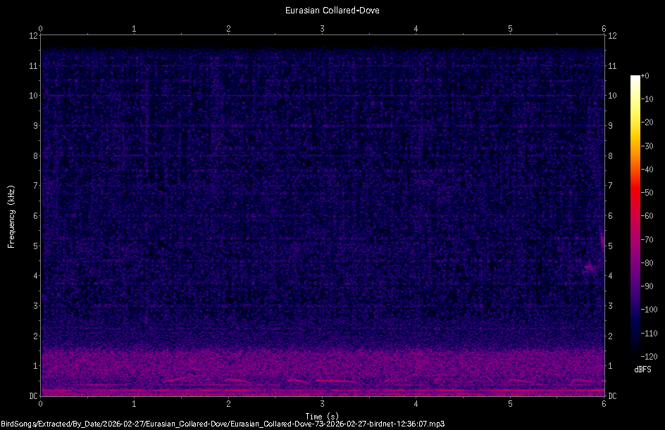 Spectrogram