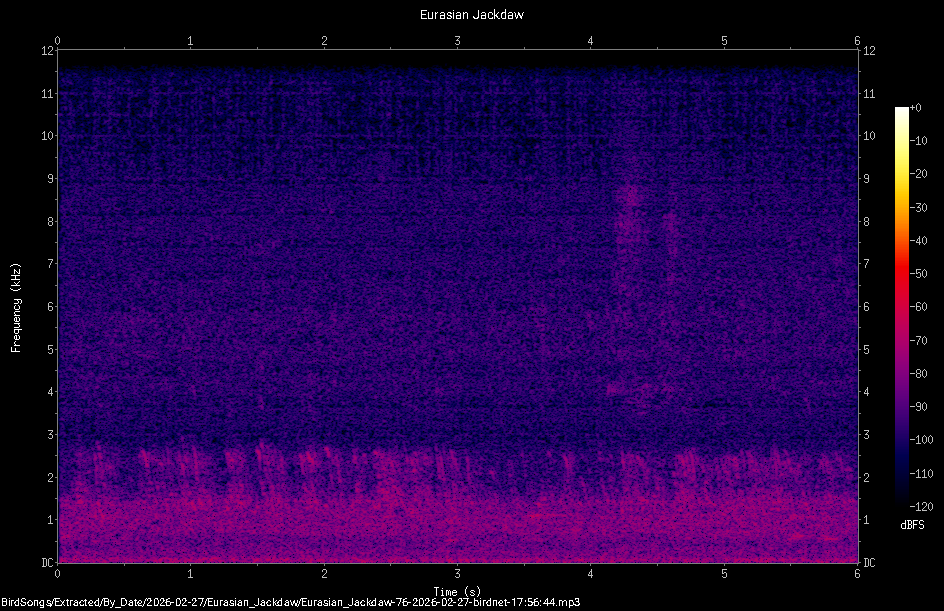 Spectrogram