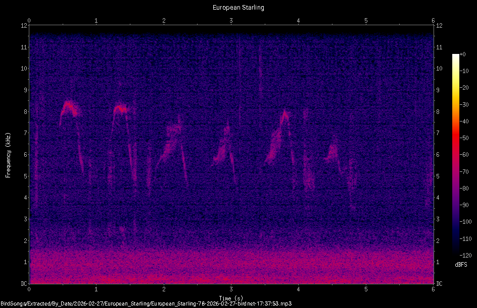 Spectrogram