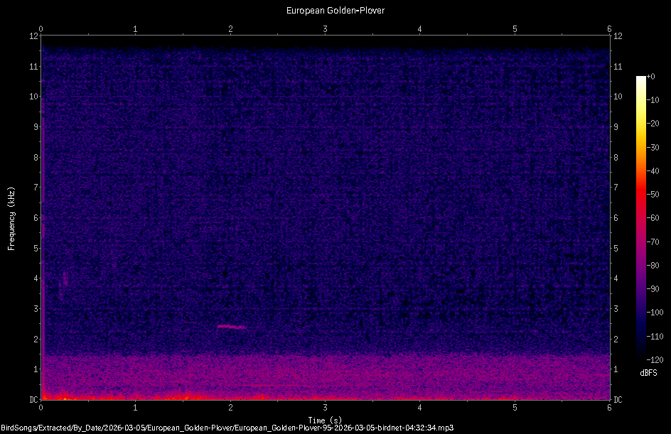 Spectrogram