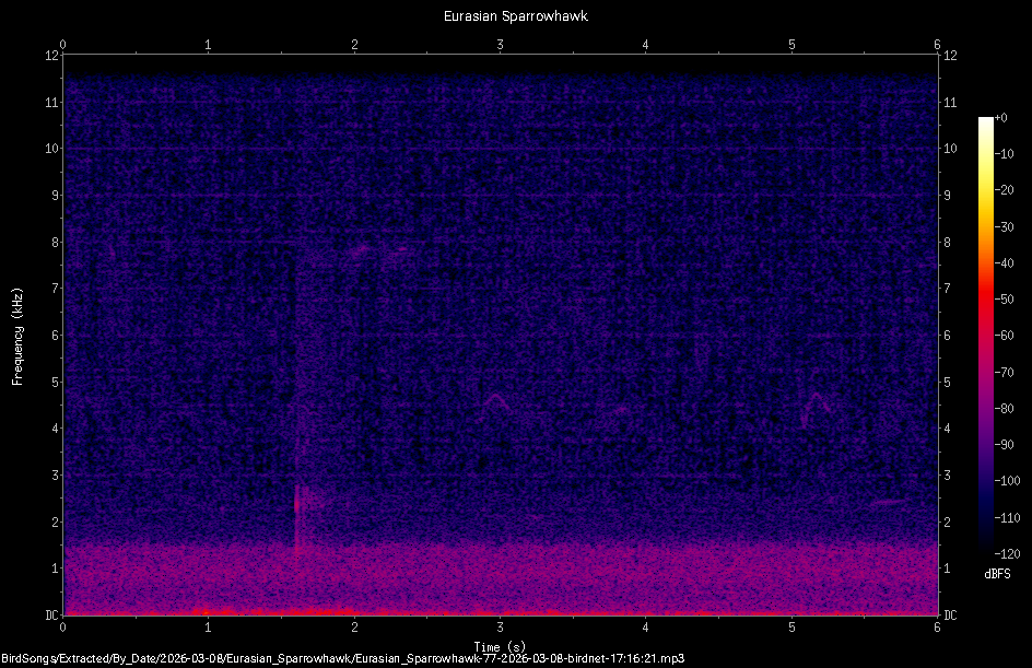 Spectrogram