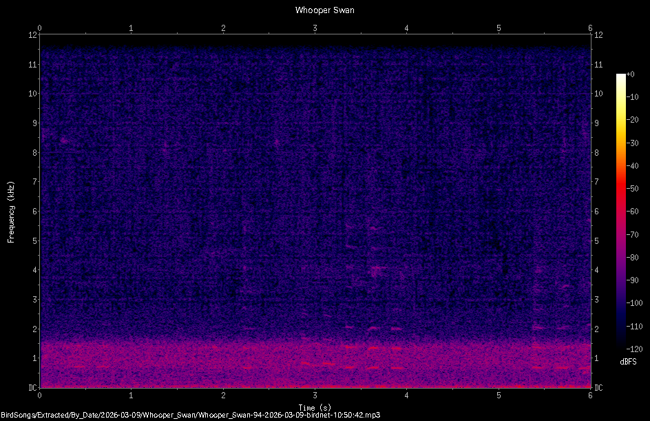 Spectrogram
