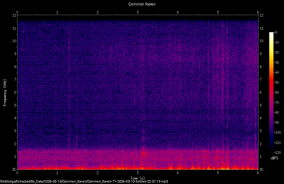 Spectrogram