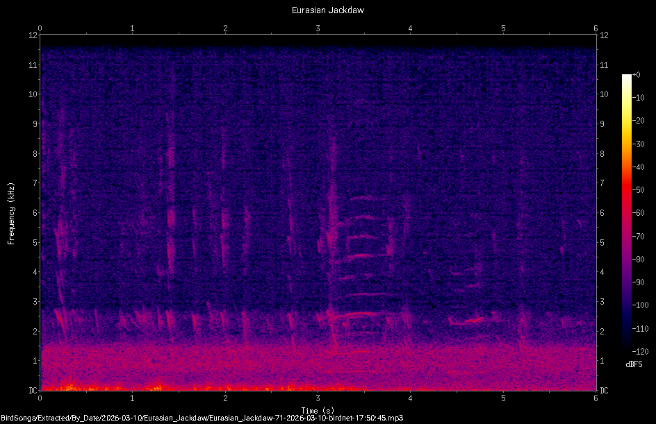 Spectrogram