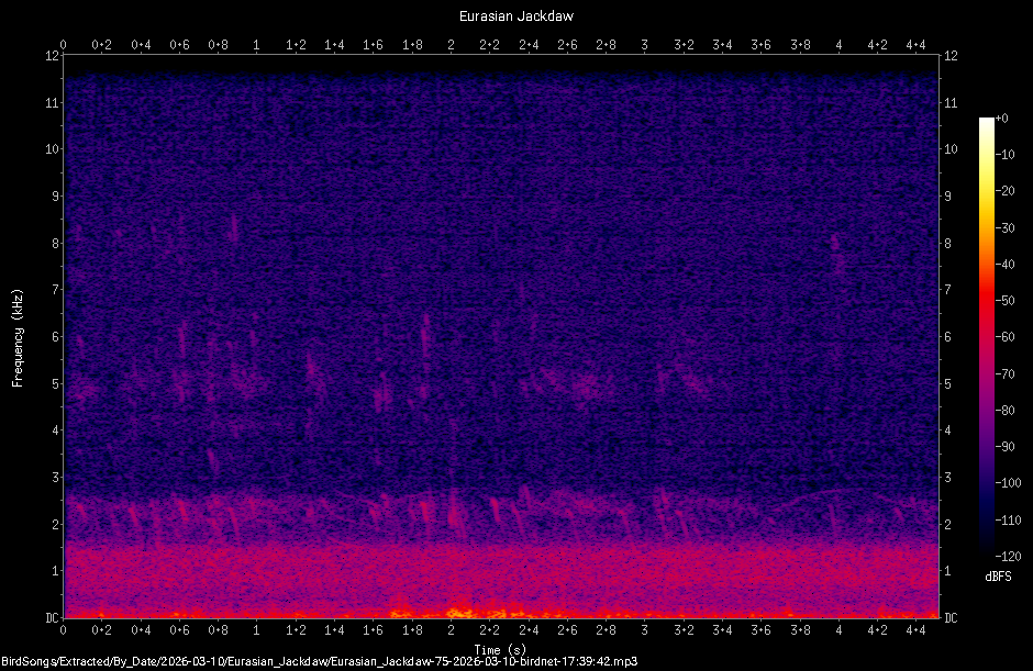 Spectrogram