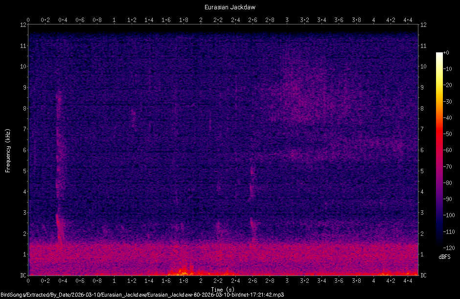 Spectrogram