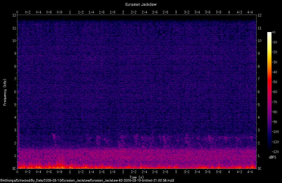 Spectrogram