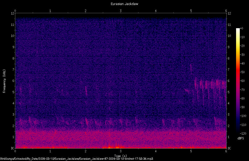 Spectrogram