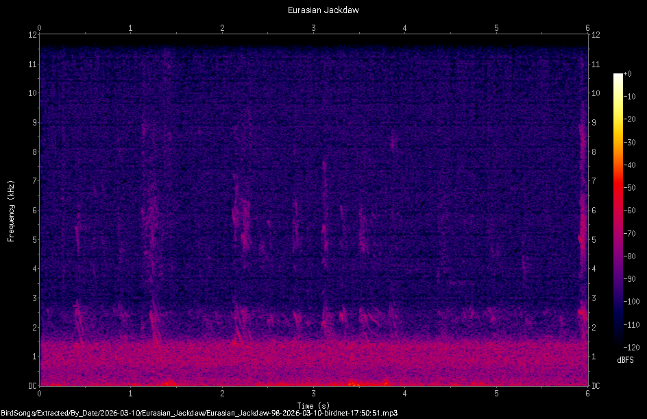 Spectrogram