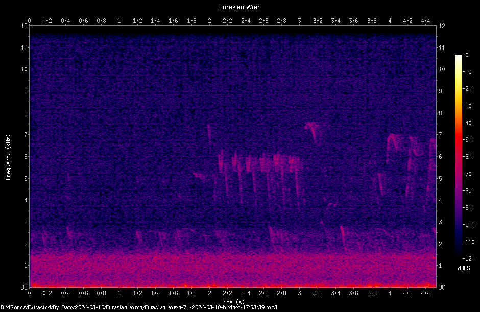 Spectrogram