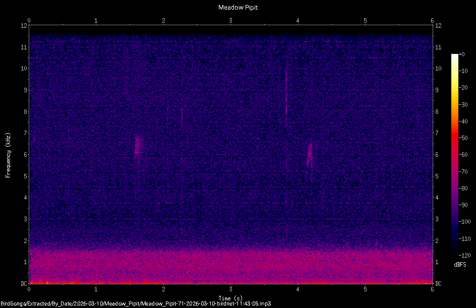 Spectrogram