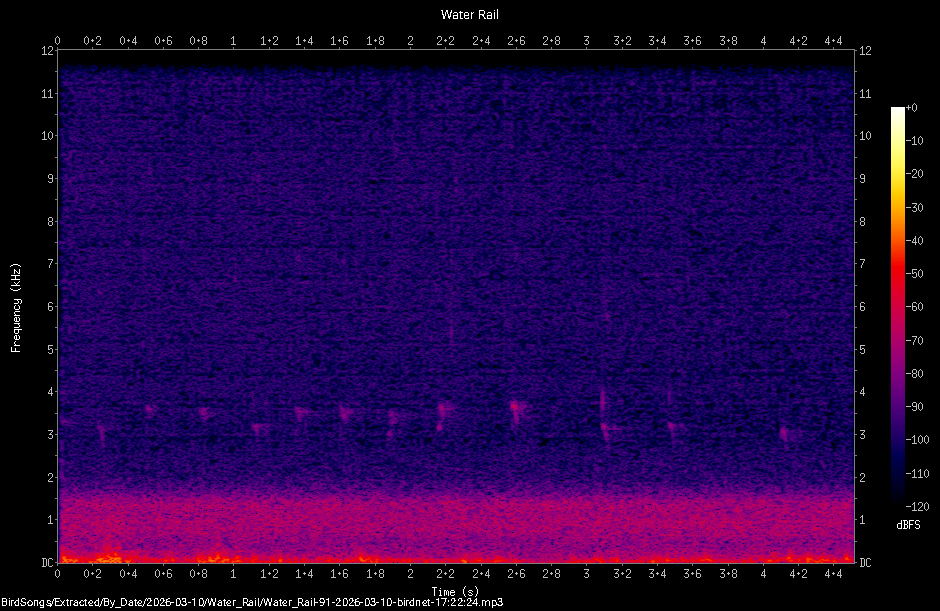 Spectrogram