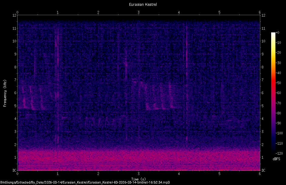 Spectrogram