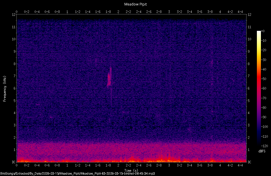 Spectrogram