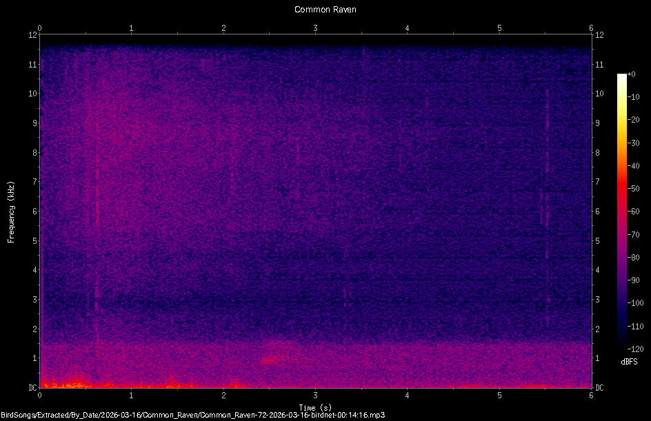 Spectrogram
