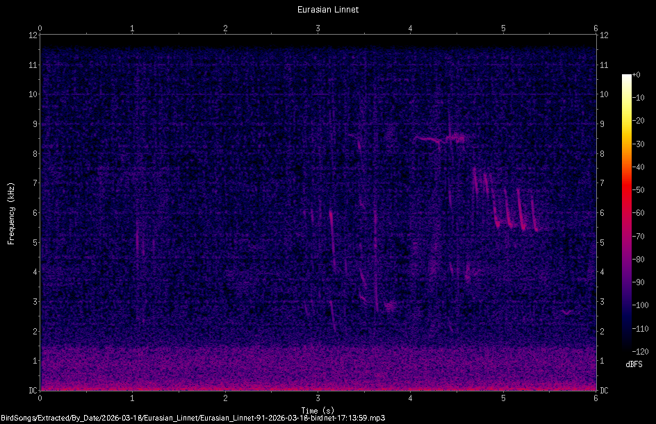 Spectrogram