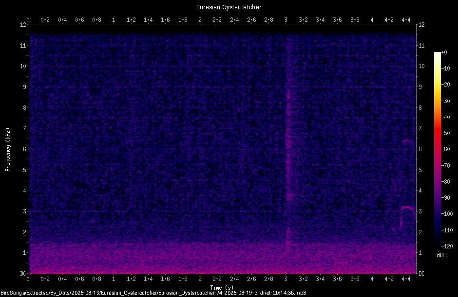 Spectrogram