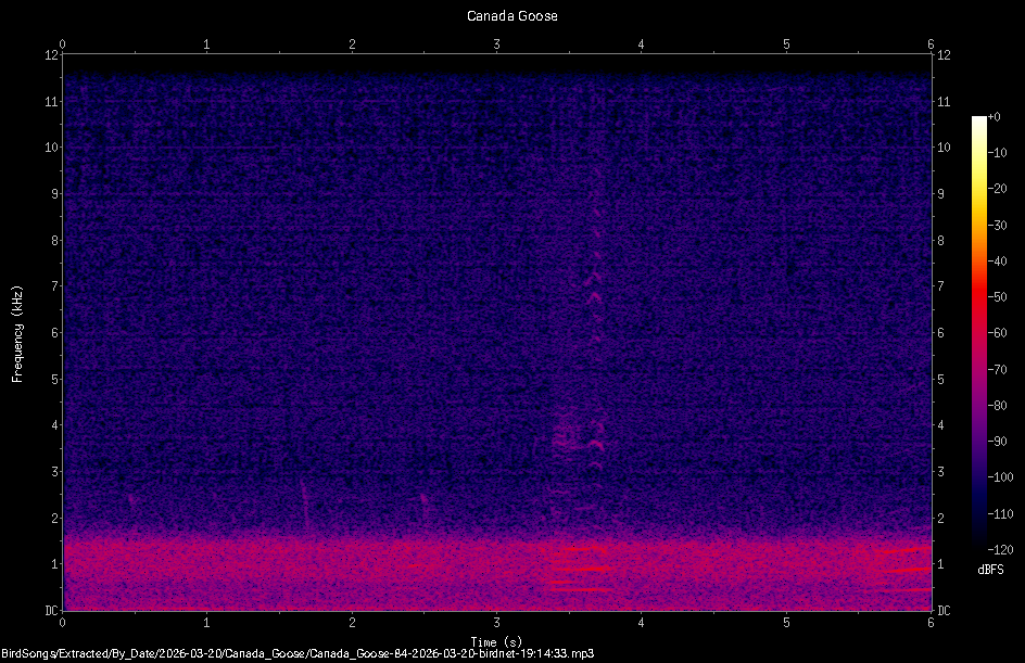 Spectrogram