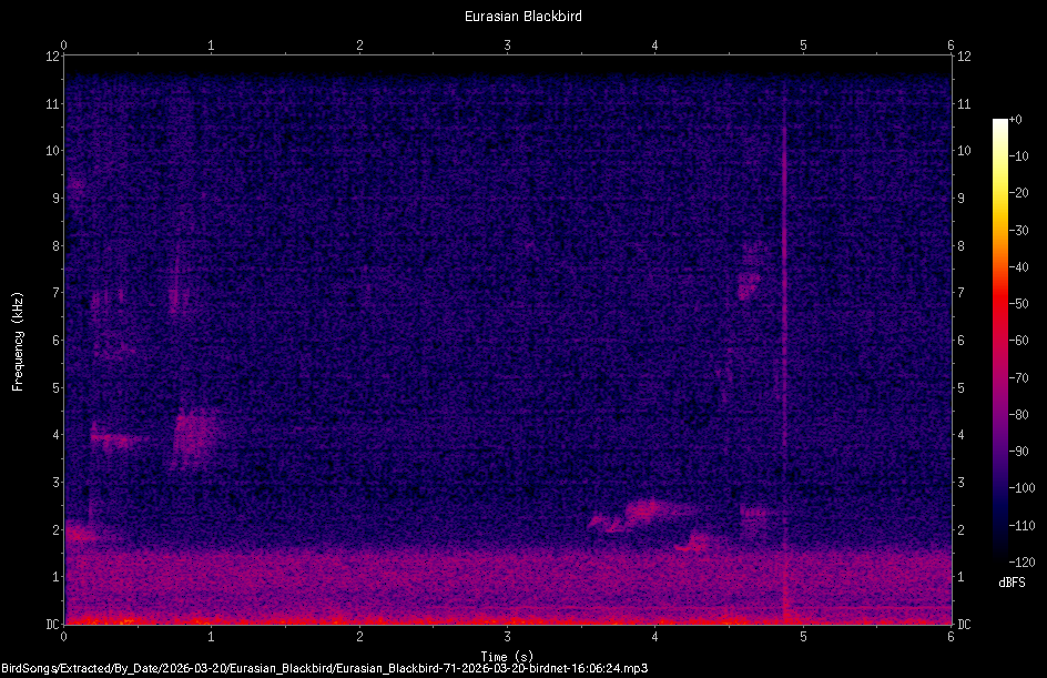 Spectrogram