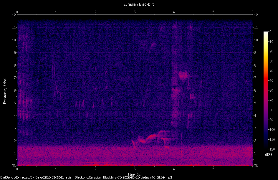 Spectrogram