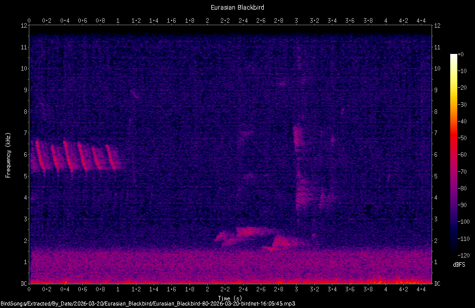 Spectrogram